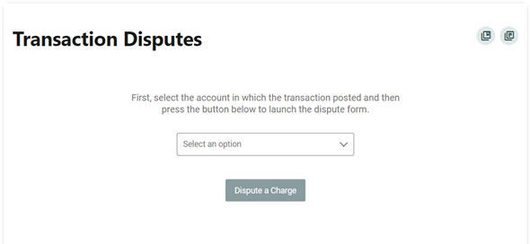 transaction disputes screenshot