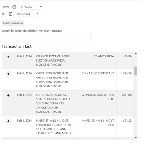 dispute a transaction screenshot from within online banking