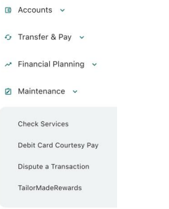 dispute a transaction from within mobile banking app screenshot