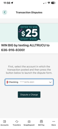 dispute a transaction mobile app screenshot 