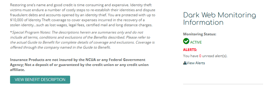 Online banking screenshot of the identity protection tab continued